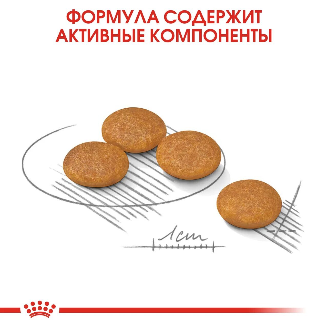 ROYAL CANIN MINI Dermacomfort Сухой корм для взрослых и стареющих собак мелких пород с чувствительной кожей 3кг