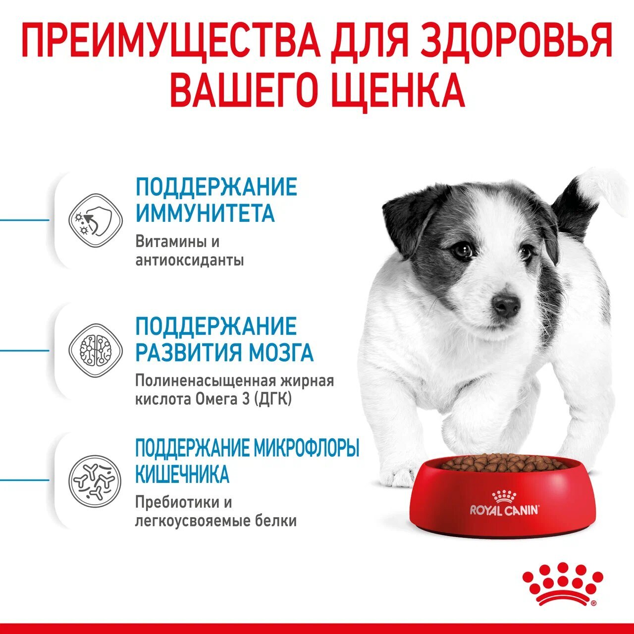 ROYAL CANIN MINI PUPPY Сухой корм для щенков мелких пород до 10 месяцев 4кг