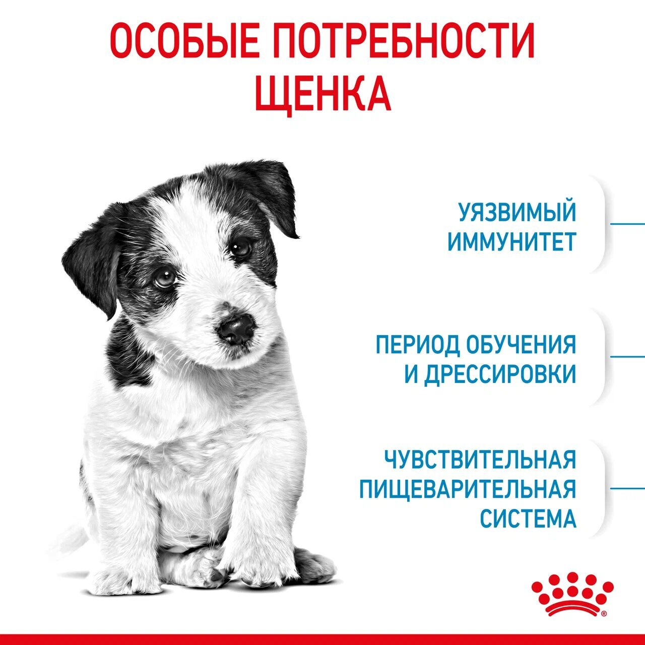 ROYAL CANIN MINI PUPPY Сухой корм для щенков мелких пород до 10 месяцев 4кг