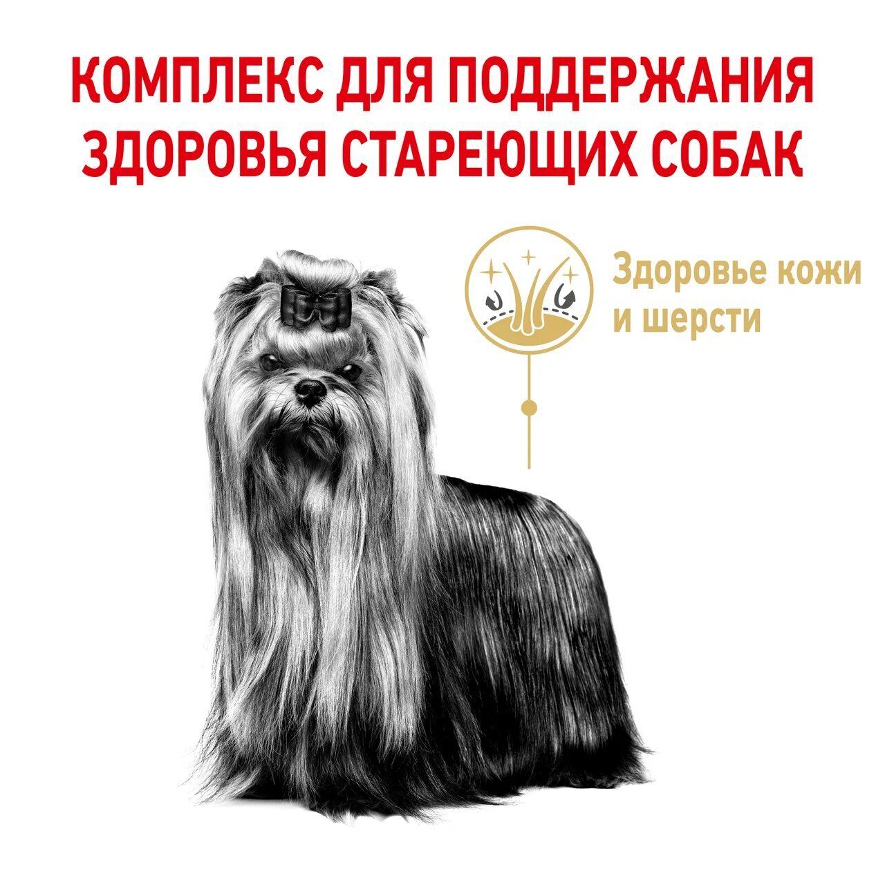 ROYAL CANIN Yorkshire Terrier Adult 8+ Сухой корм для собак породы Йоркширский терьер старше 8 лет 1,5кг