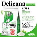 DELICANA Сухой корм для взрослых собак мелких пород Ягненок с рисом 400г