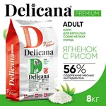 DELICANA Сухой корм для взрослых собак мелких пород Ягненок с рисом 8кг