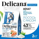 DELICANA Сухой корм для взрослых собак средних пород Лосось с рисом 2кг