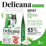 DELICANA Сухой корм для взрослых собак средних пород Ягненок с рисом 2кг
