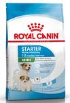 ROYAL CANIN MINI Starter Mother&Babydog Сухой корм для щенков мелких пород до 2-х месяцев, беременных и кормящих собак 3кг 
