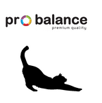 ProBalance